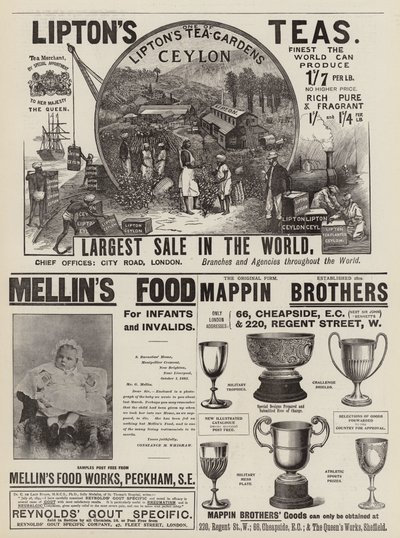 Page of Advertisements by English School